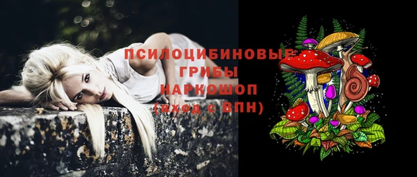 mdpv Каменск-Шахтинский